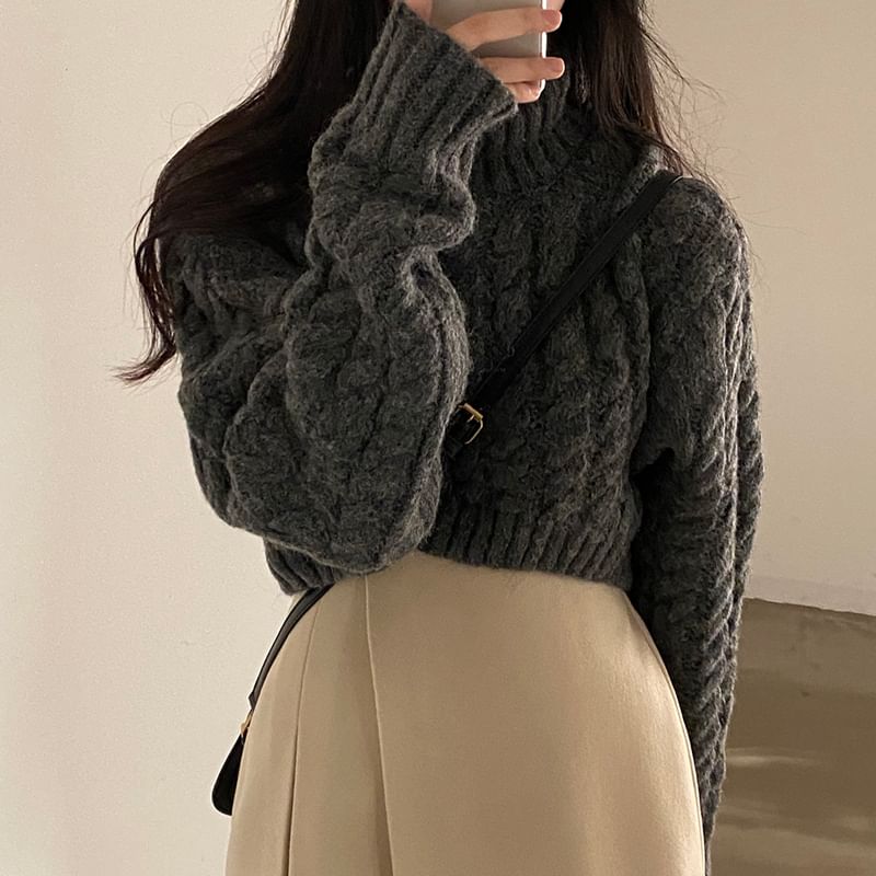 Coris - [F] 小高領純色麻花針織短款毛衣