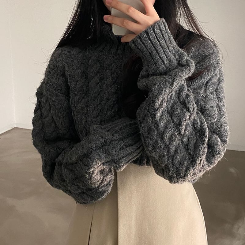 Coris - [F] 小高領純色麻花針織短款毛衣