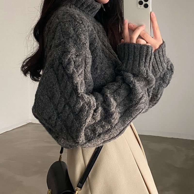 Coris - [F] 小高領純色麻花針織短款毛衣