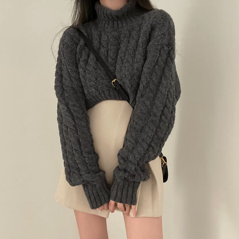 Coris - [F] 小高領純色麻花針織短款毛衣