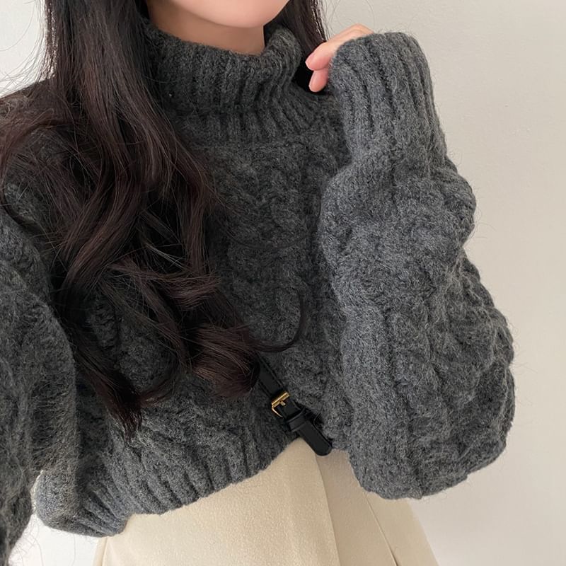 Coris - [F] 小高領純色麻花針織短款毛衣