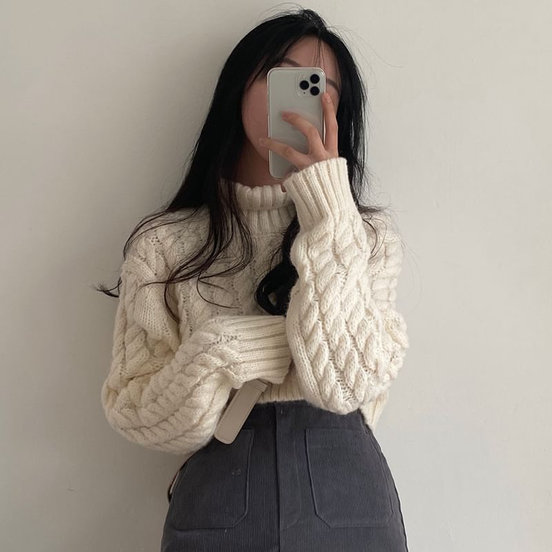 Coris - [F] 小高領純色麻花針織短款毛衣