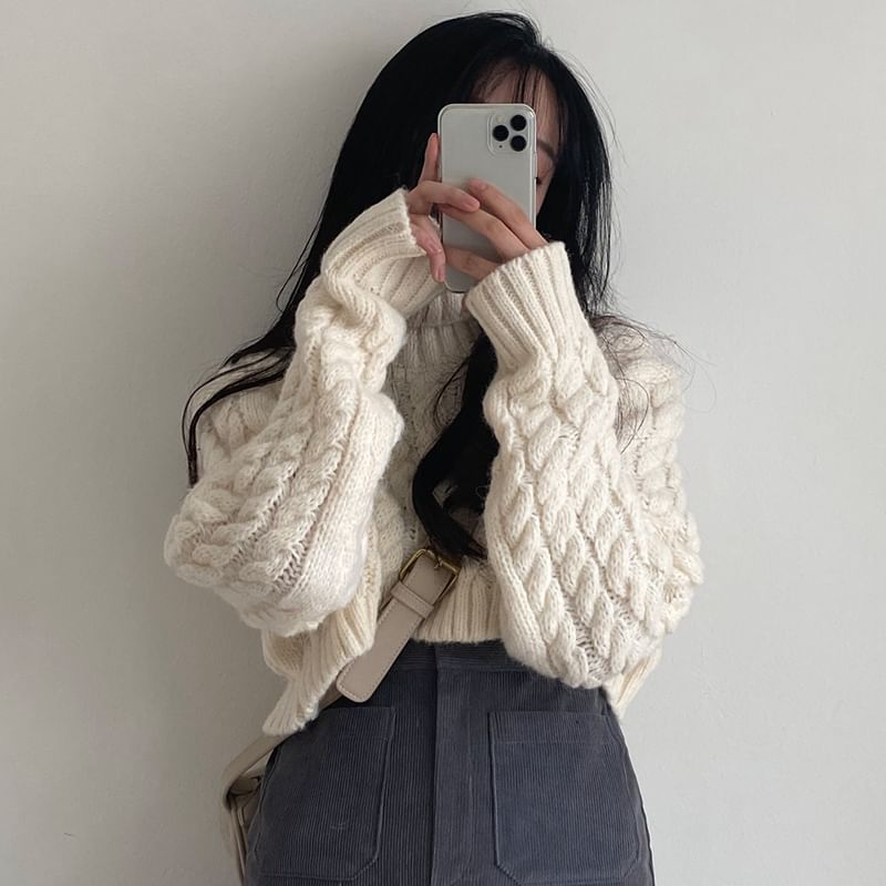 Coris - [F] 小高領純色麻花針織短款毛衣
