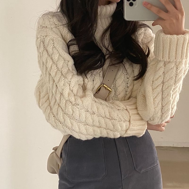 Coris - [F] 小高領純色麻花針織短款毛衣