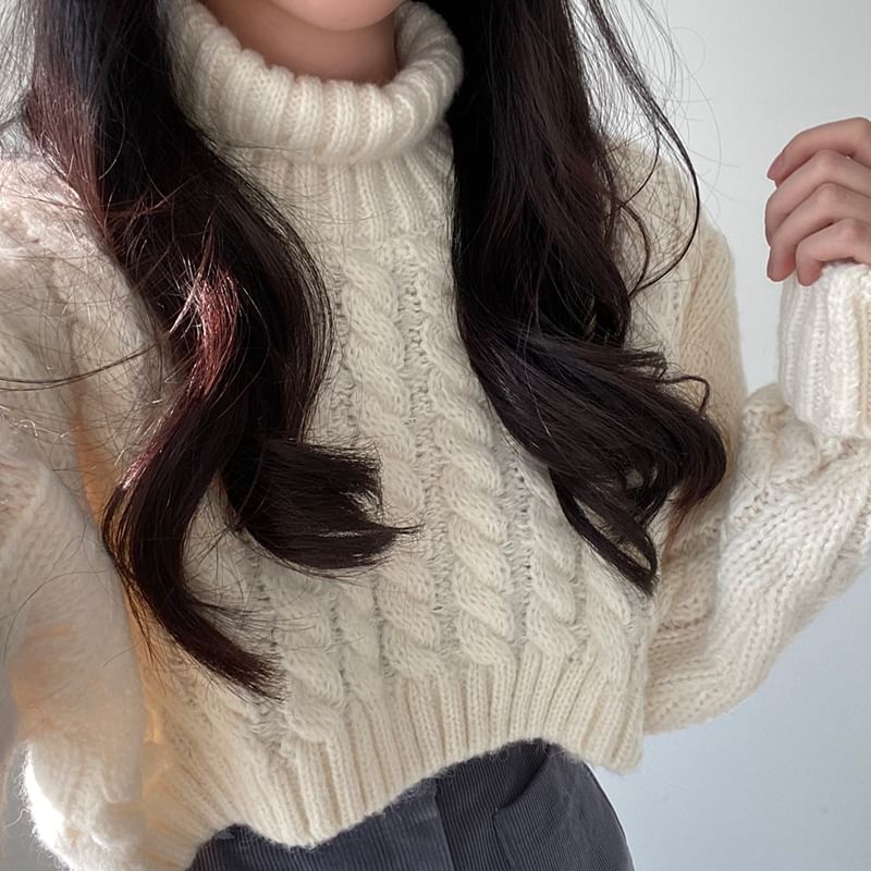 Coris - [F] 小高領純色麻花針織短款毛衣